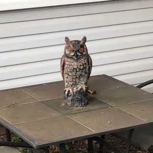 Meet your Posher, Paul